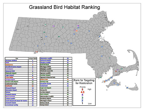grasslandbirdhabitat grasslandbirdhabitat