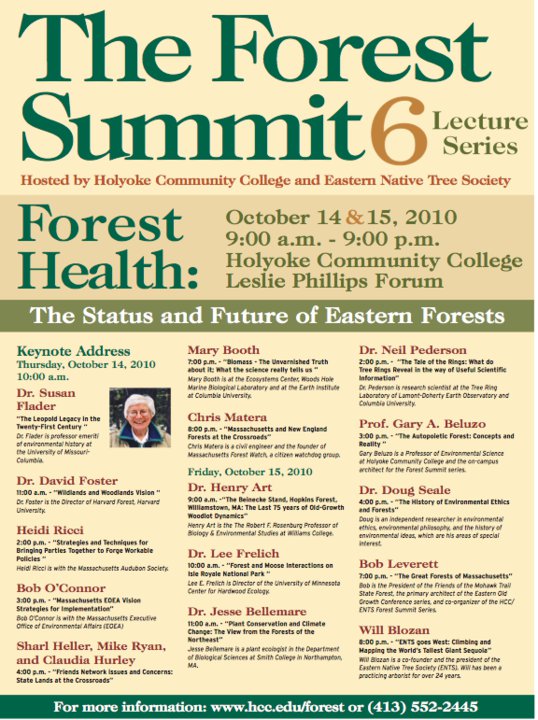 forestsummit6
